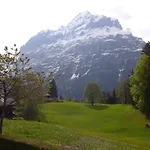 Jrene By Interhome Grindelwald