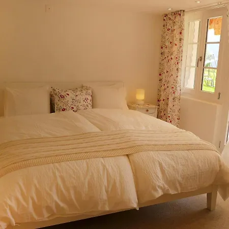 Jrene By Interhome Apartment Grindelwald