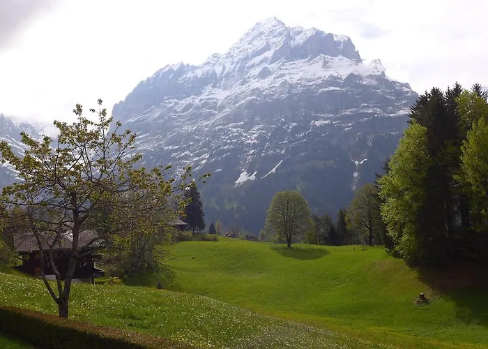 Jrene By Interhome Grindelwald